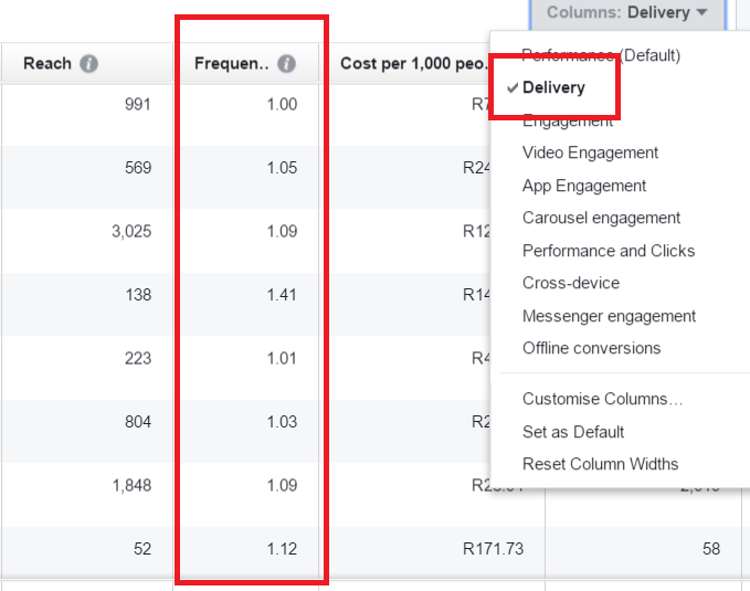  Customer Frequency . Facebook Custom Audiences.