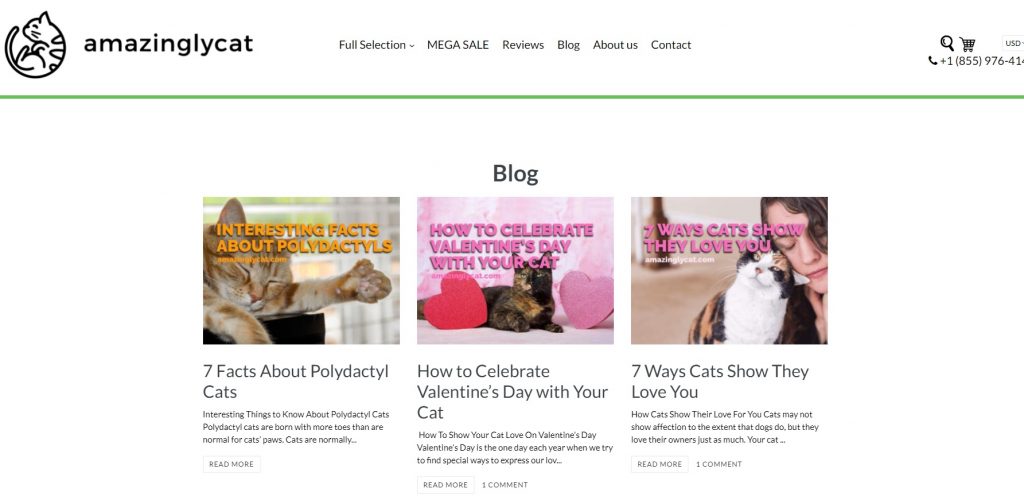eCommerce blog example pet store